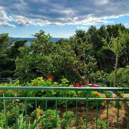 Dominovic 게스트하우스