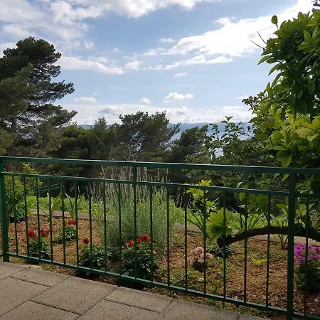 Dominovic 게스트하우스